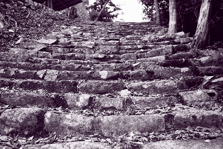 0301-30.jpg