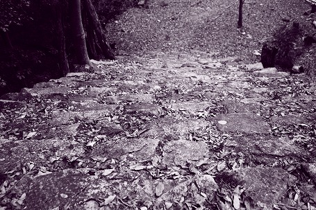 0301-31.jpg